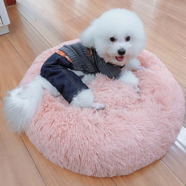 Pet’s Round Shaped Fluffy Bed Cats & Dogs Products Pet Beds, Mats & Houses Pet Supplies
