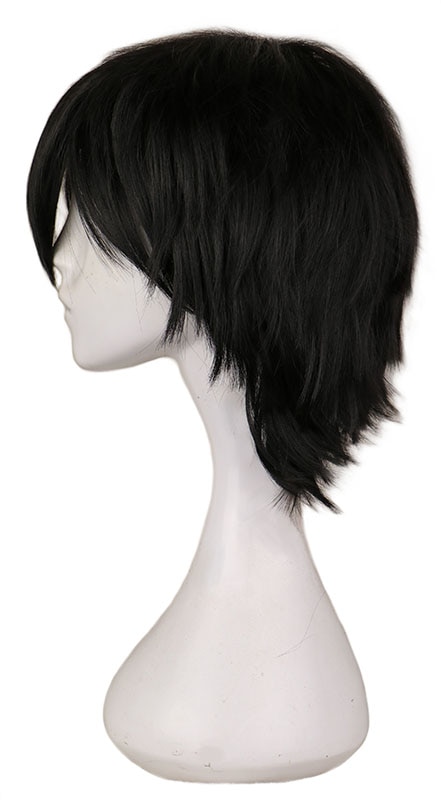 Classic Male Anime Cosplay Wig Anime Cosplay